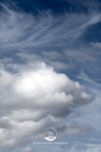 wolk wolken wolkenlucht ganzen Vlieland foto - fotograaf vlieland - portfolio fotogravlie