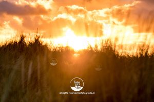 helmgras zonsondergang Vlieland foto - fotograaf vlieland - portfolio fotogravlie