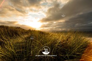 duin duinen Vlieland foto - fotograaf vlieland - portfolio fotogravlie