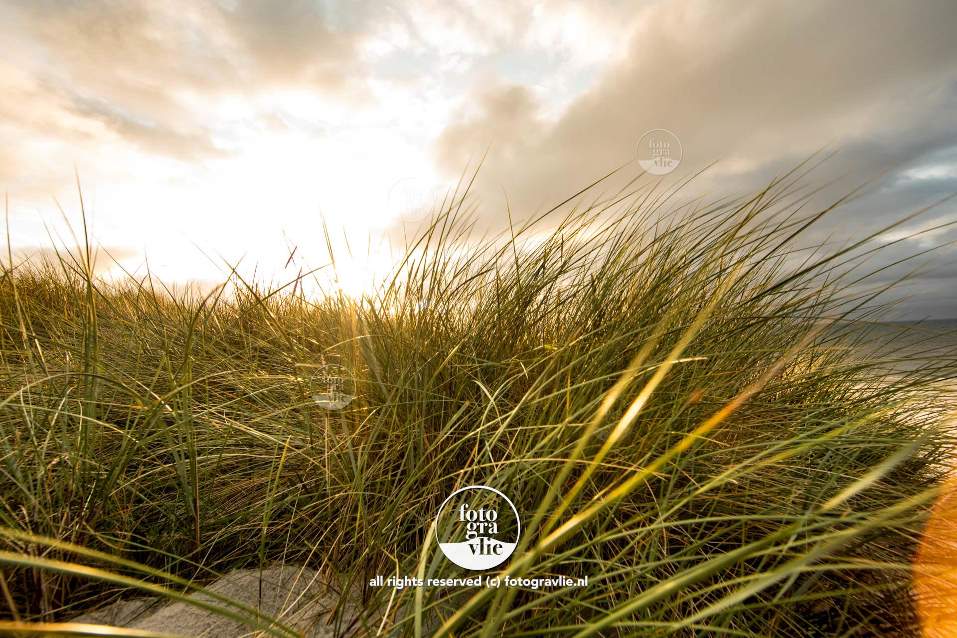 duin duinen Vlieland foto - fotograaf vlieland - portfolio fotogravlie