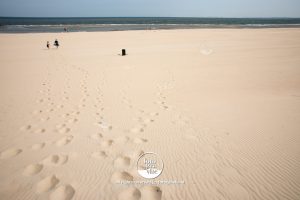 strand Vlieland foto - fotograaf vlieland - portfolio fotogravlie
